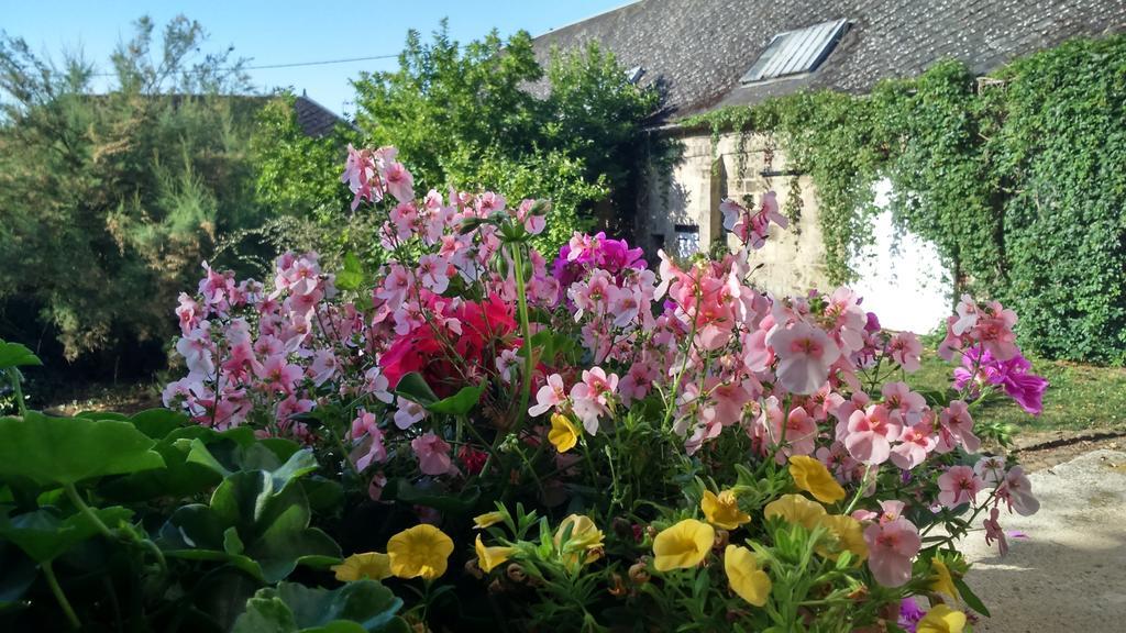 Bed and Breakfast Le Manoir De Crisolles Esterno foto